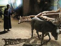 Aswan museum 211