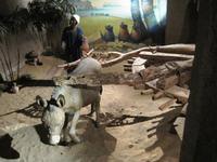 Aswan museum 212