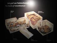 Expositie Toetanchamon