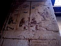 IMG 5268.VividShare