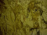 IMG 5286.VividShare
