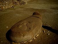 IMG 5412.VividShare