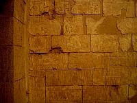 IMG 5421.VividShare