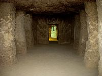 IMG 5426.VividShare