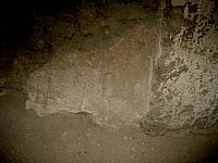 IMG 5427.VividShare