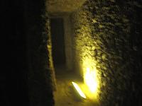 IMG 5436.VividShare