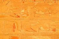 204