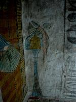 IMG 4944.VividShare