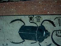 IMG 4839.VividShare