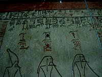 IMG 4871.VividShare