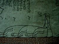 IMG 4874.VividShare