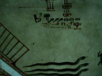 IMG 4881.VividShare