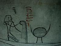 IMG 4888.VividShare