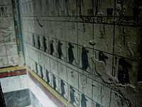 IMG 4900.VividShare
