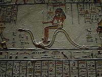 IMG 4802.VividShare