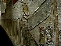 IMG 4811.VividShare