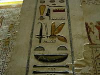 IMG 4824.VividShare