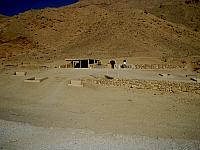 IMG 4731.VividShare