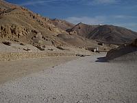 IMG 4735.VividShare