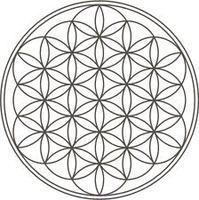 2b Flower of life in het Osirion Abydos
