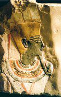 021. Amon-Min Toetmosis III