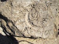 40 Tempel naast het paleis van Ahmose