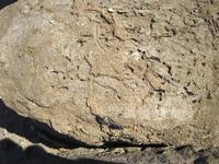 41 Tempel naast het paleis van Ahmose
