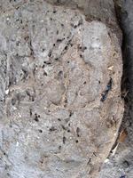 43 Tempel naast het paleis van Ahmose