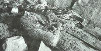 04 Kist in KV55