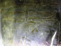 11-QV44