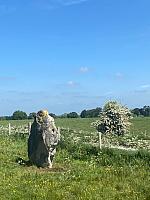 IMG-20250518-WA0089
