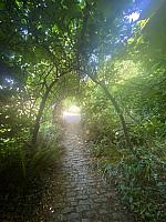 IMG-20250520-WA0040