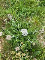 IMG-20250524-WA0022
