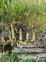 IMG-20250524-WA0024