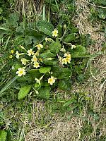IMG-20250524-WA0025