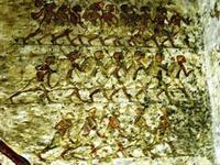 12 Amarna tombe 4 van Meryre