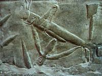 Tombe van Mereroeka