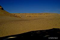 Omgeving