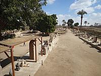 P2050392